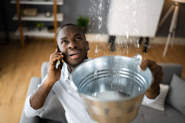 Best Sewage cleanup and water damage restoration  in Booneville, AR