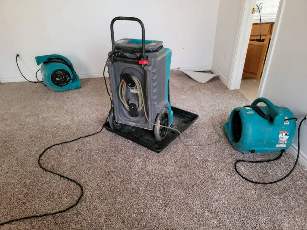 Best Water damage restoration insurance claims  in Booneville, AR