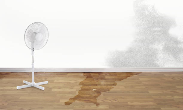 Best Water damage mitigation services  in Booneville, AR
