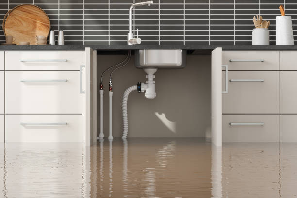 Best 24-hour water damage restoration  in Booneville, AR
