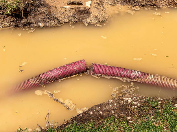 Best Water damage restoration near me  in Booneville, AR